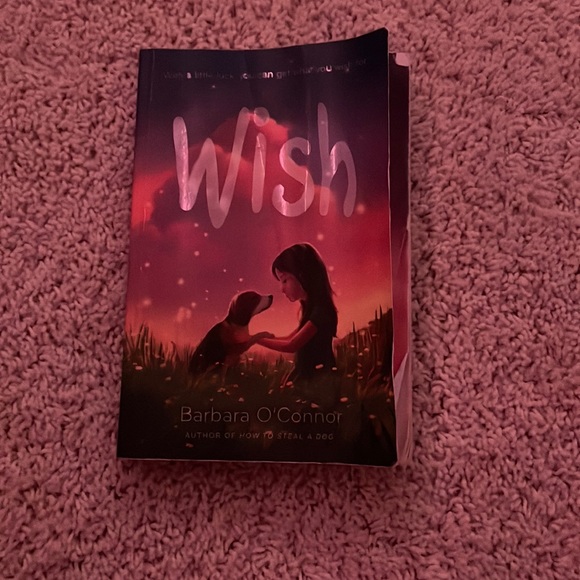 Wish by Barbra O Connor - Picture 1 of 3